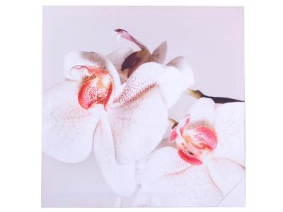 Панно Орхидея 40*40см Холст Арти-М