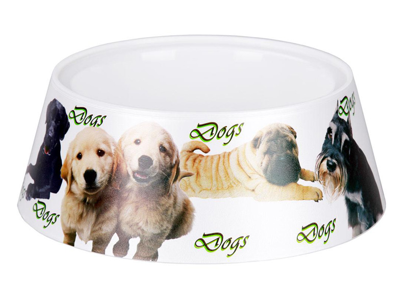 Dog zoo 4. Миска для собак "Dogs" 1,2л. Миска "Dogs" 0,65л , Zoo Plast. La deal Zoo миска для собак.